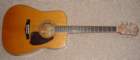 ibanezartistacoustic1981_small.jpg